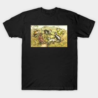 Primate types Circa 1874 T-Shirt